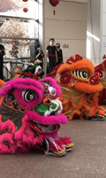 Chinese Lions at JFK